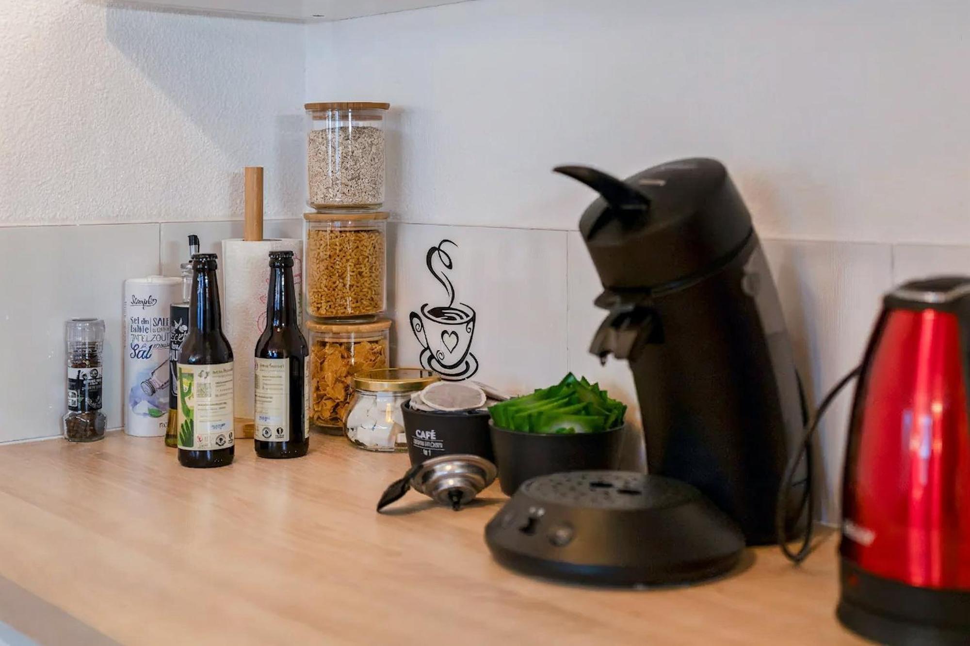 Superbe Appartement - Parking Gratuit - 4 Personnes Chambéry Esterno foto